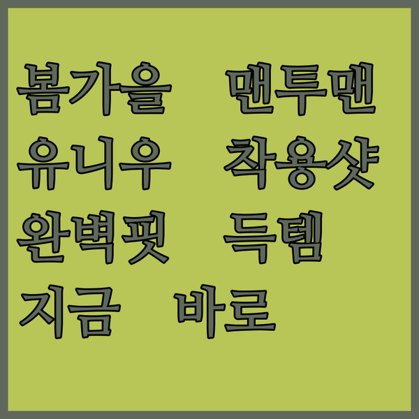 유니우 레이 맨투맨티.. 봄, 가을에