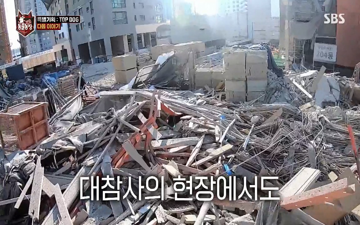 TV 동물농장.E1085.220905p-NEXT.mp4_20220904_173318.237.jpg