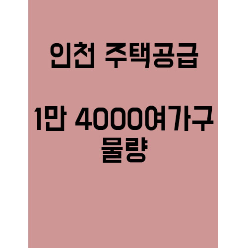 인천 1만 4000여 가구 공급 . 묻고 더블로 가!