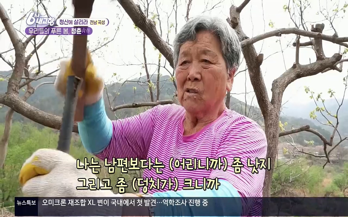6시 내고향.E7511.220415p.H264-F1RST.mp4_20220425_174125.934.jpg