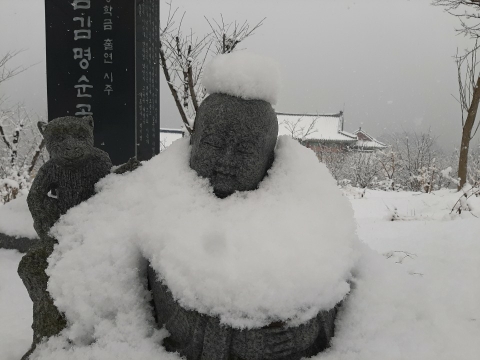 img.jpg