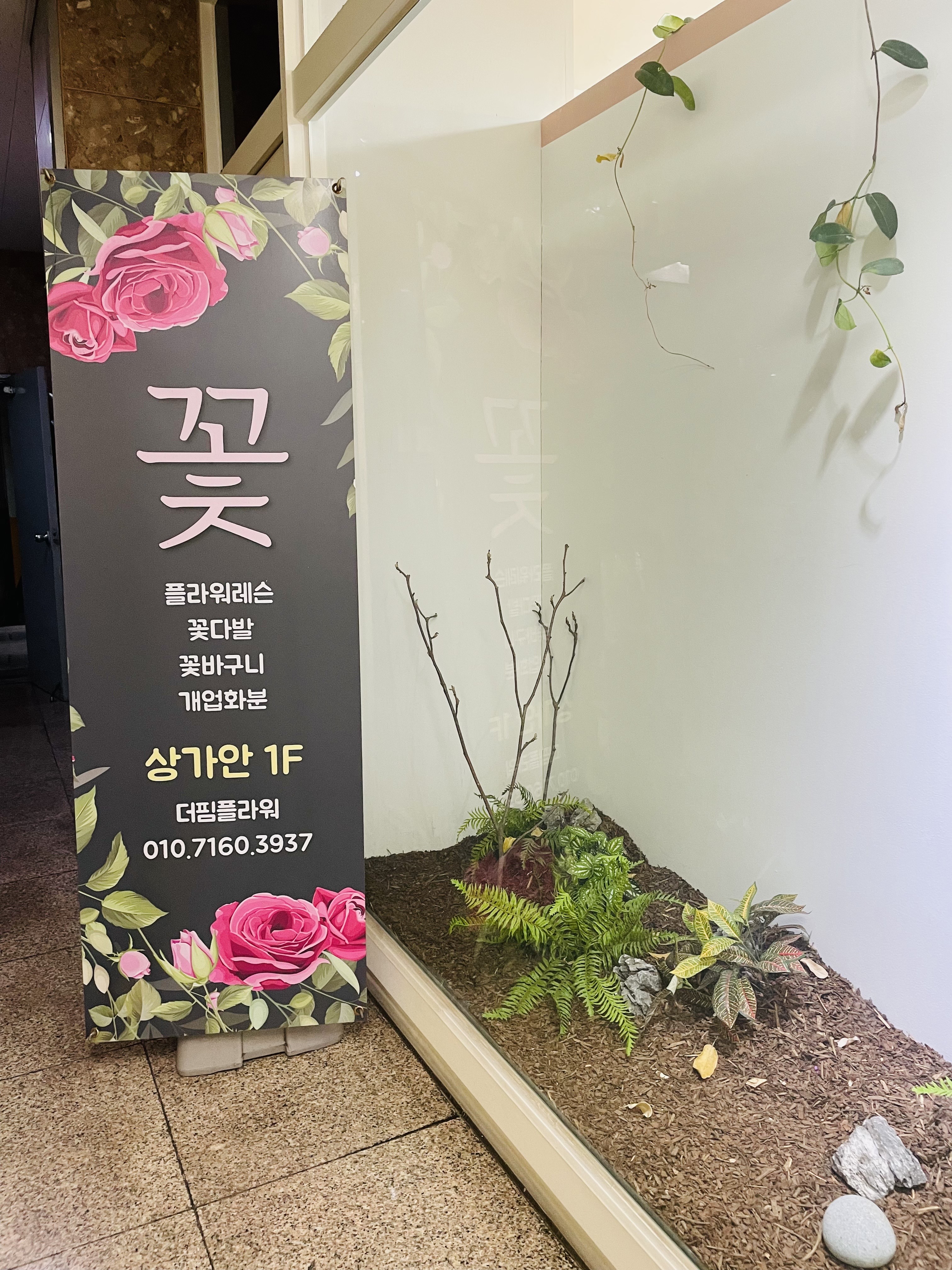 핌플라워 이미지