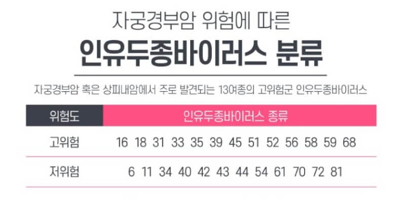 인유두종바이러스 분류