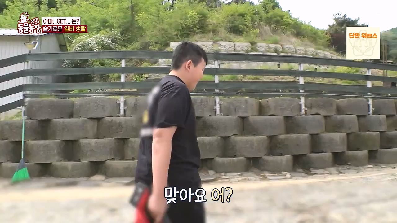 TV 동물농장.E1178.240630.ts_20240630_164642.232.jpg