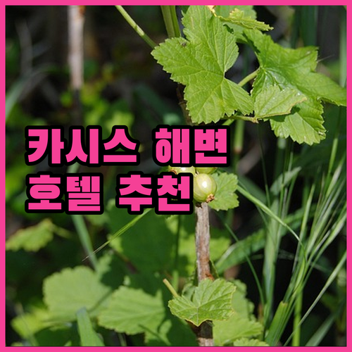 카시스 해변 근처 호텔 추천, 완벽한