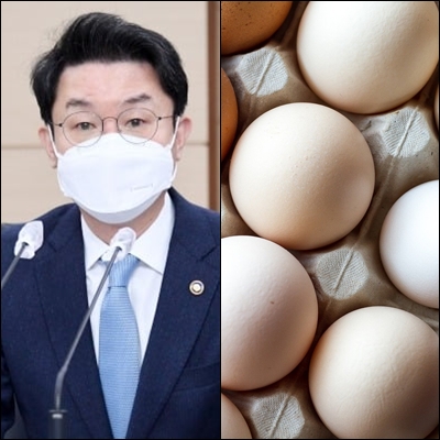  정부 계란 가격 폭등에 할당관세 6개월 연장, 할당관세와 조정관세란?