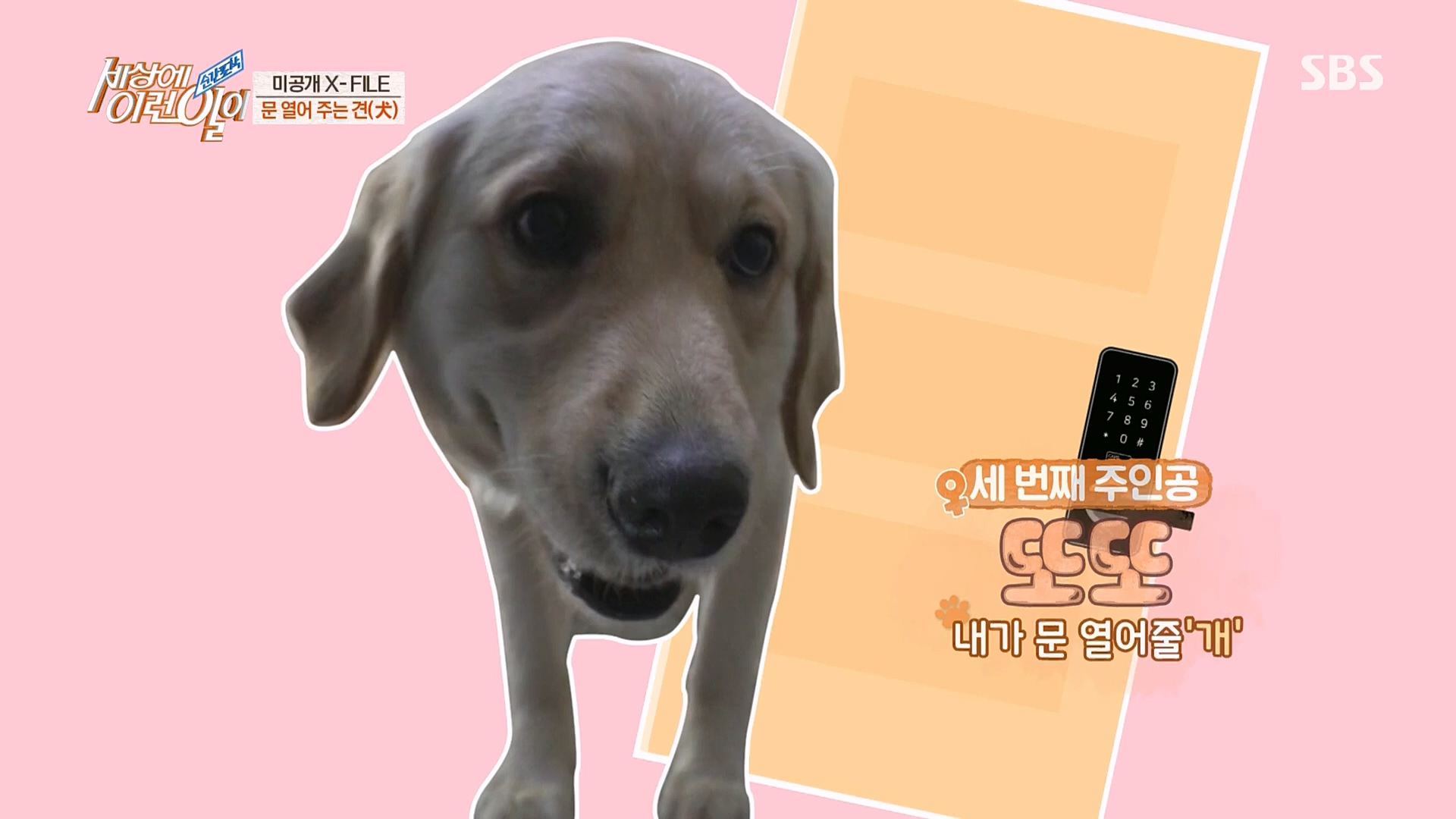 순간포착 세상에 이런일이.E1220.230307p.H264-F1RST.mp4_20230308_193452.191.jpg