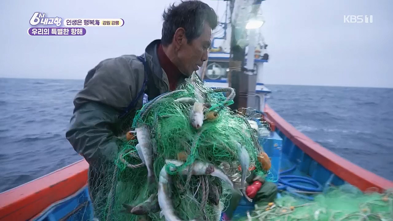 6시 내고향.E7748.230321p.H264-F1RST.mp4_20230321_202132.556.jpg