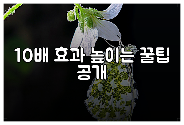 10배 효과 높이는 꿀팁 공개