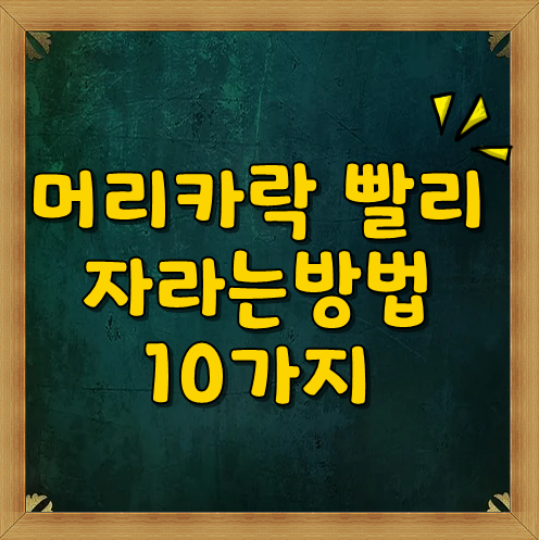  극세사 같은 머리카락 ㅜㅜ 머리 빨리 기르는법 10가지