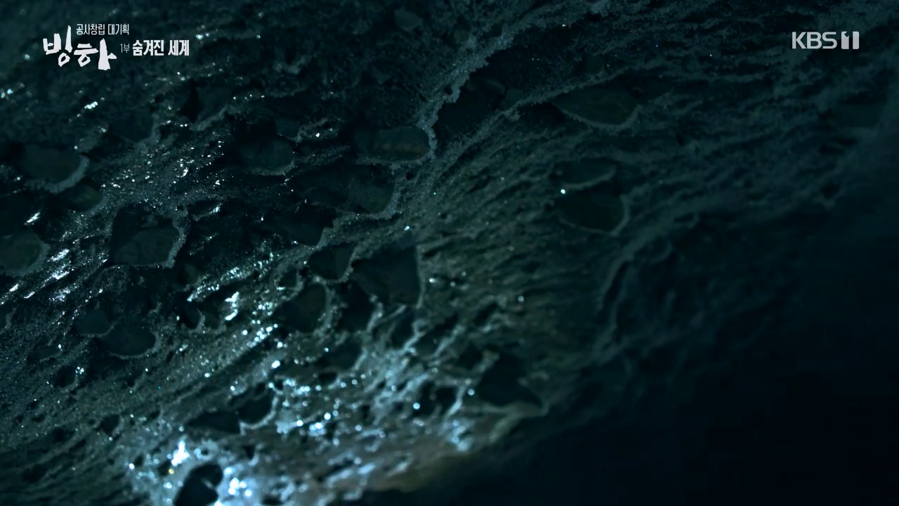 KBS 대기획 3부작 빙하.E01.240308p-NEXT.mp4_20240310_145937.066.jpg