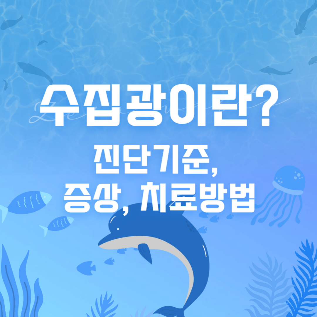 수집광의 진단기준&#44; 증상&#44; 치료방법