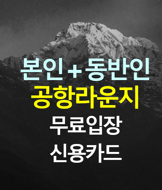  본인+동반인까지 공항라운지 무료입장 신용카드 / BEV V카드, 베브 V / 라운지 이용카드 / 공항라운지 무료 / PP카드 / Lounge 카드