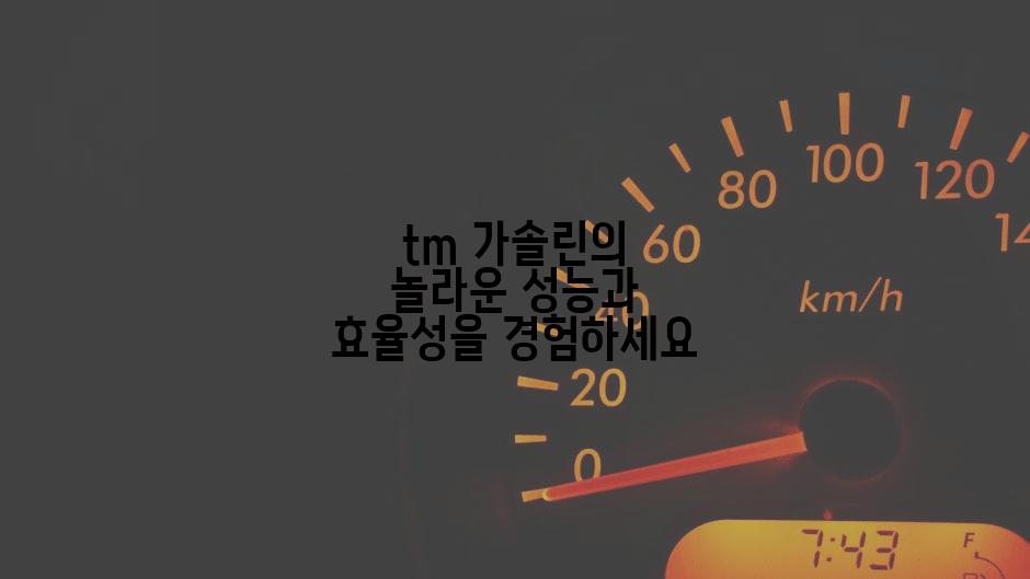 tm 가솔린의 놀라운 성능과 효율성을 경험하세요