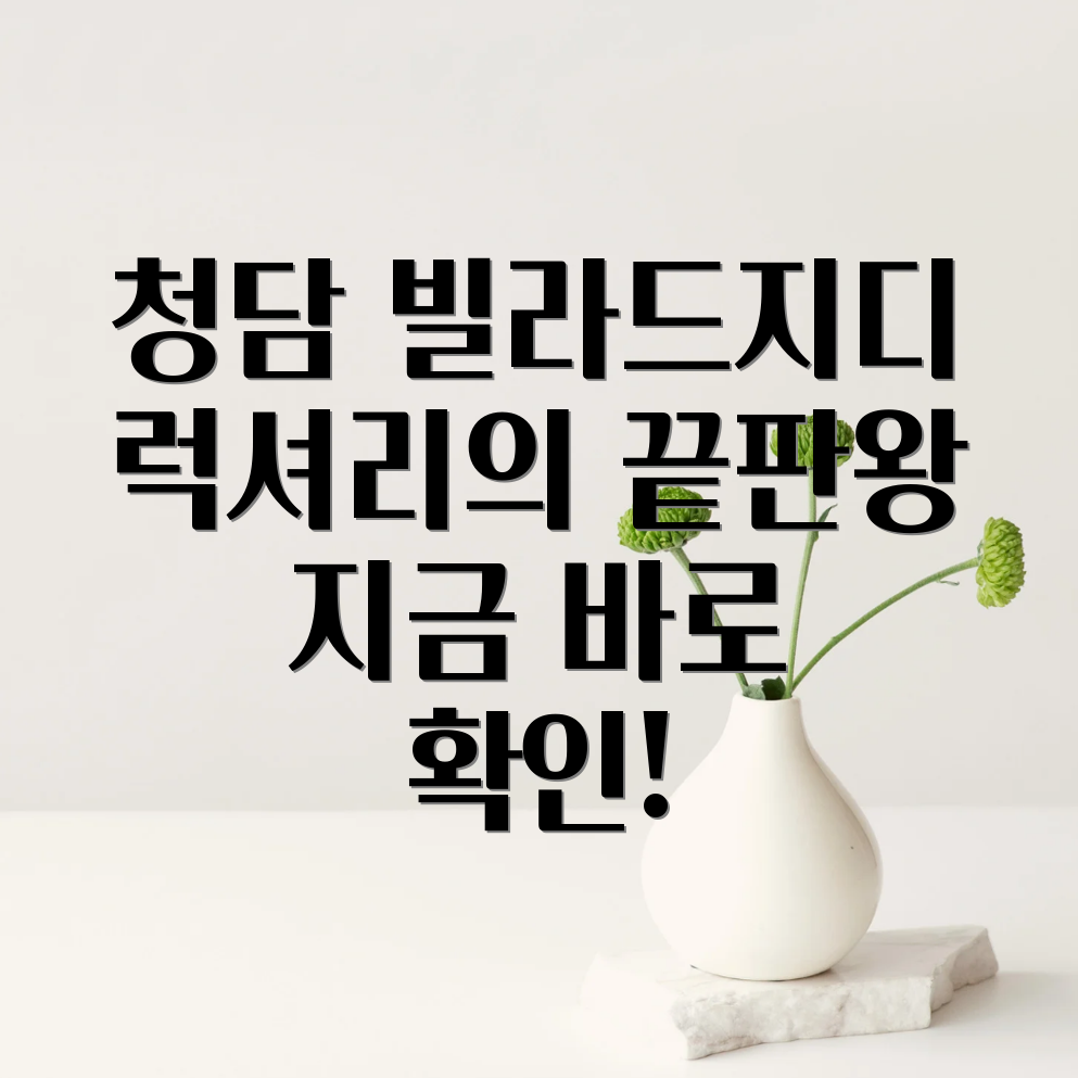 빌라드지디 청담