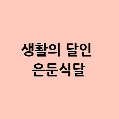  생활의 달인 은둔식달 김치냉국수 달인 위치 장소 어디? 인천 중구 영종원조국수 남경숙 달인