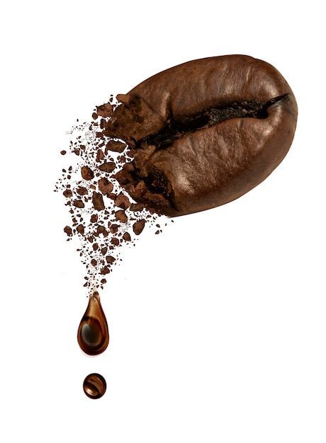 커피성분추출