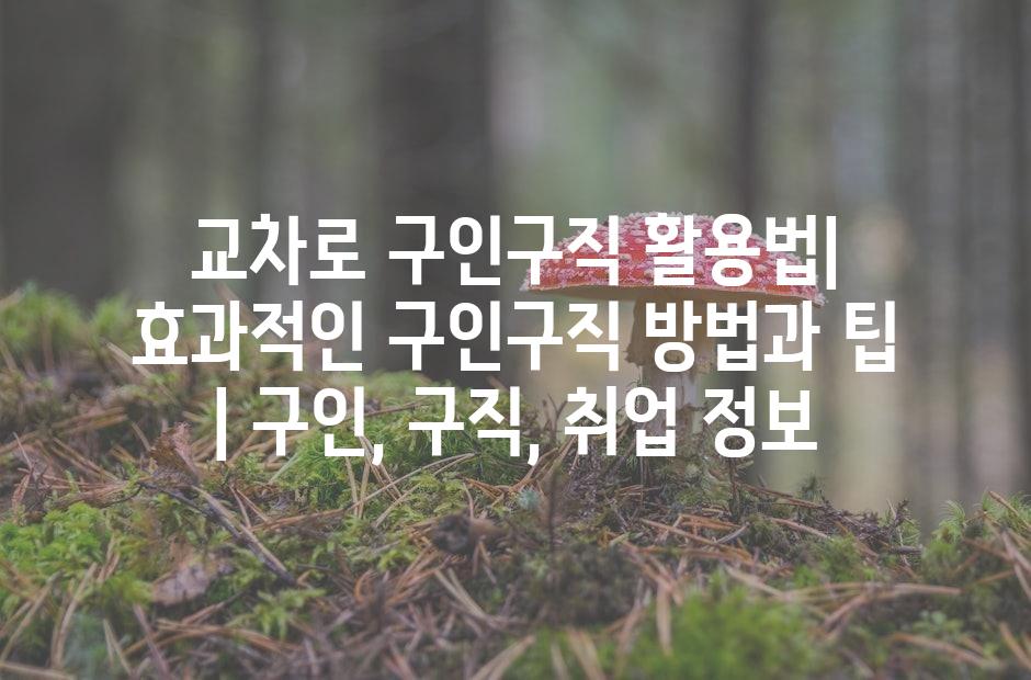 샘플 (42)
