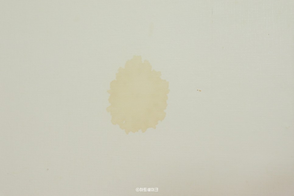 셀프인테리어 벽 페인트 칠하는 방법 벽지페인트 처음해봤는데 별거없네요. 벽지위에 칠해요. 21