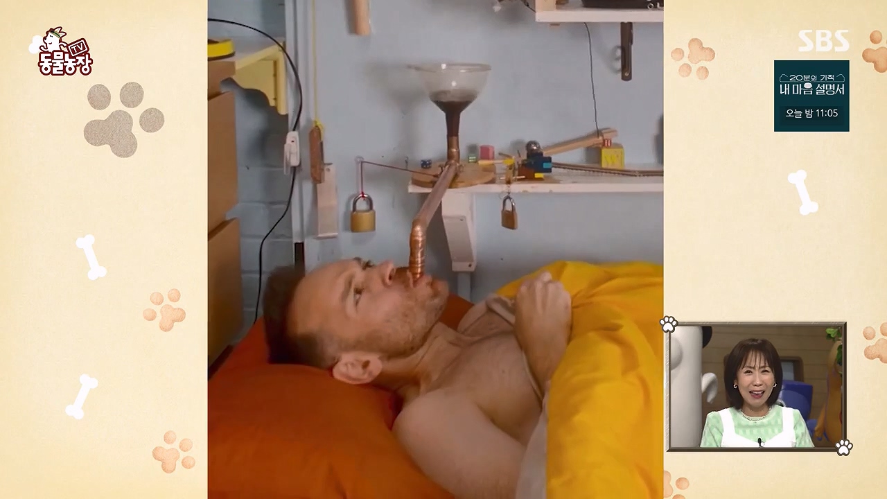 TV 동물농장.E1172.240520p-NEXT.mp4_20240519_162221.075.jpg