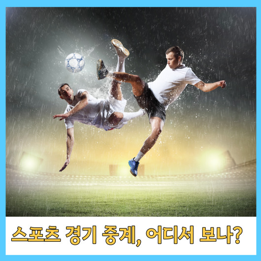  스포츠 경기 중계, 어디서 보나?