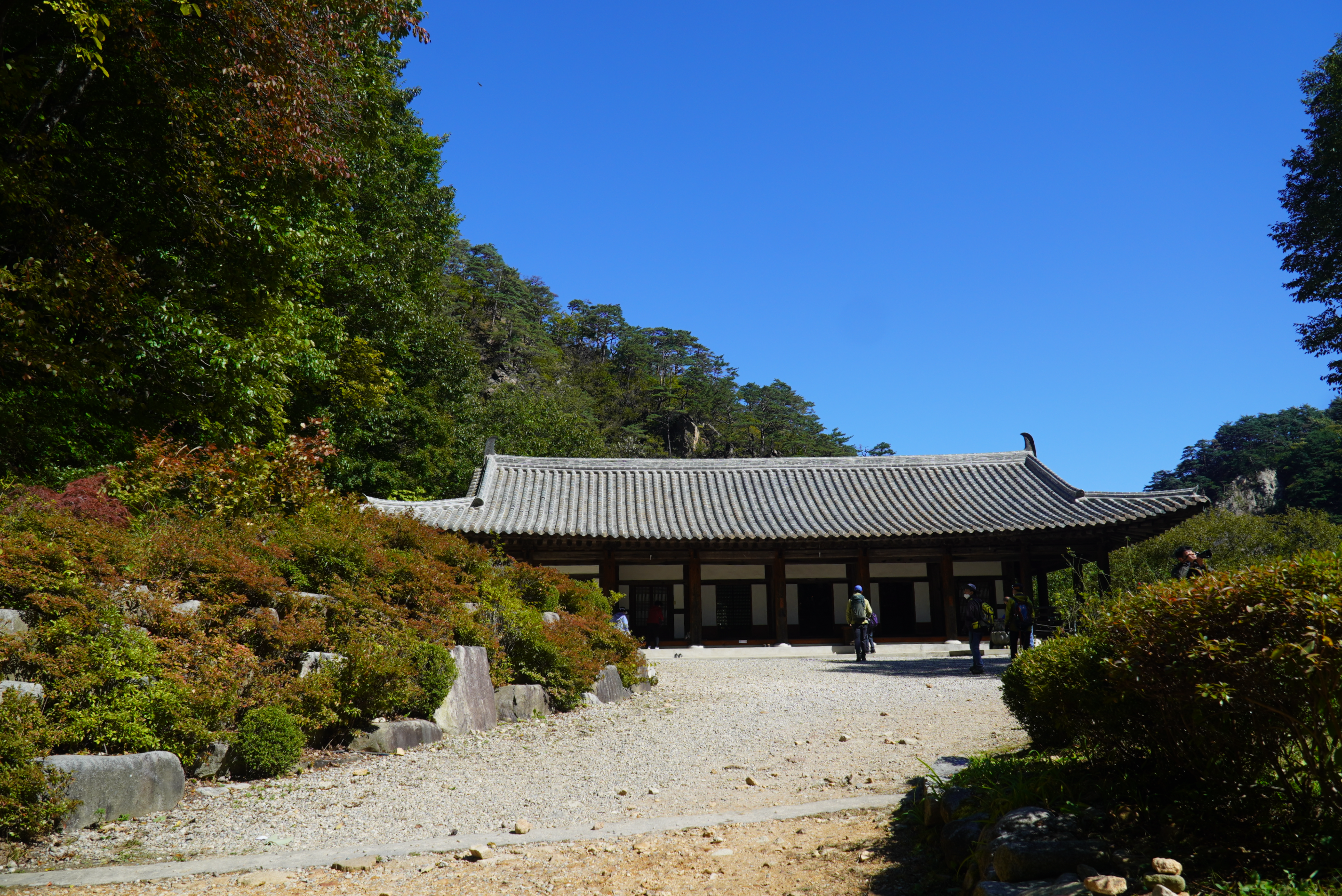 설악산 흘림골 등산 코스 (주차&#44; 예약&#44; 단풍 절정 시기)