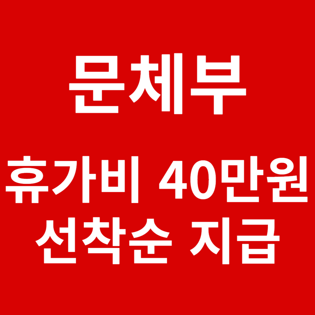 문화체육관광부 휴가비