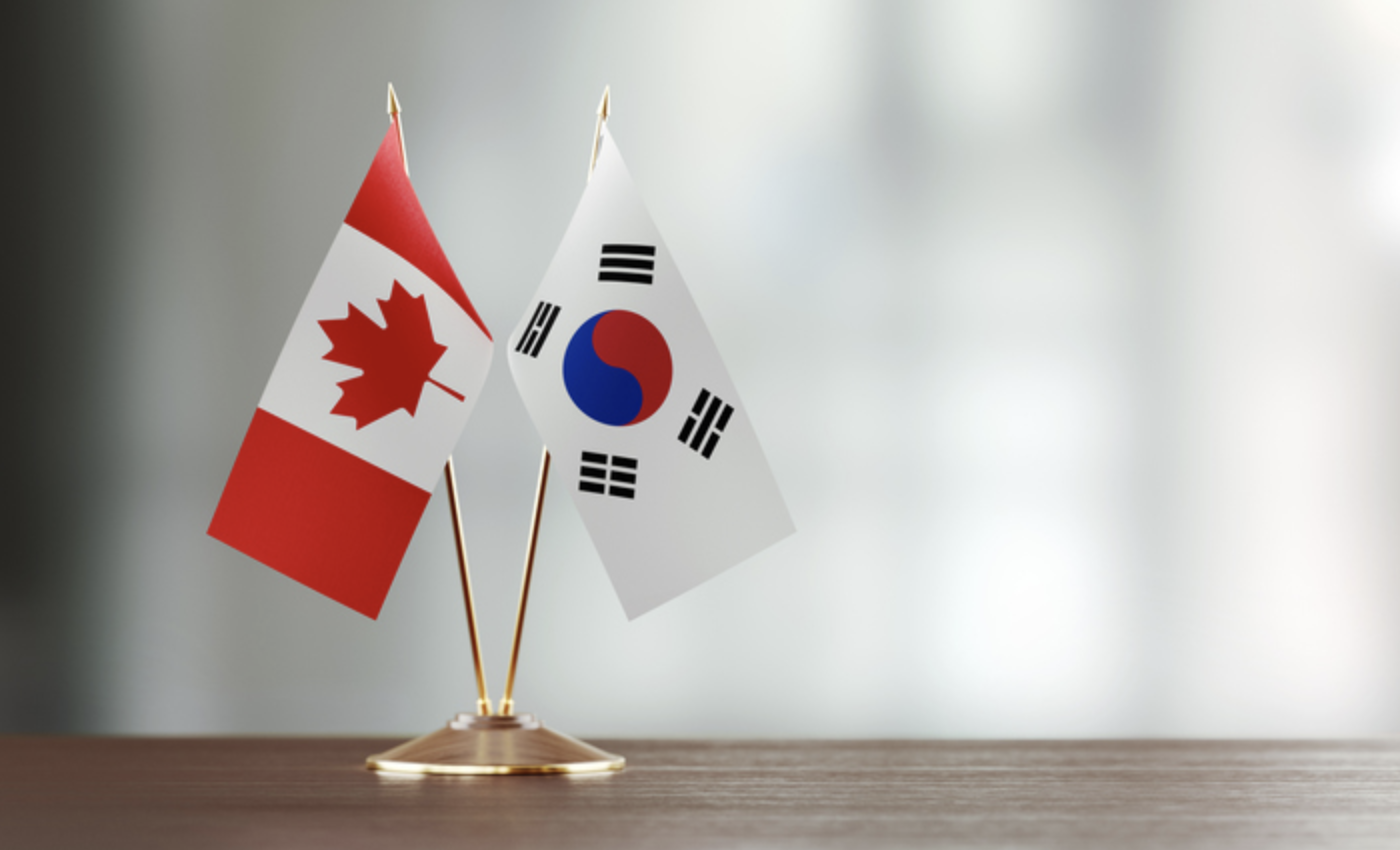 캐나다 vs 한국 영양제 차이점