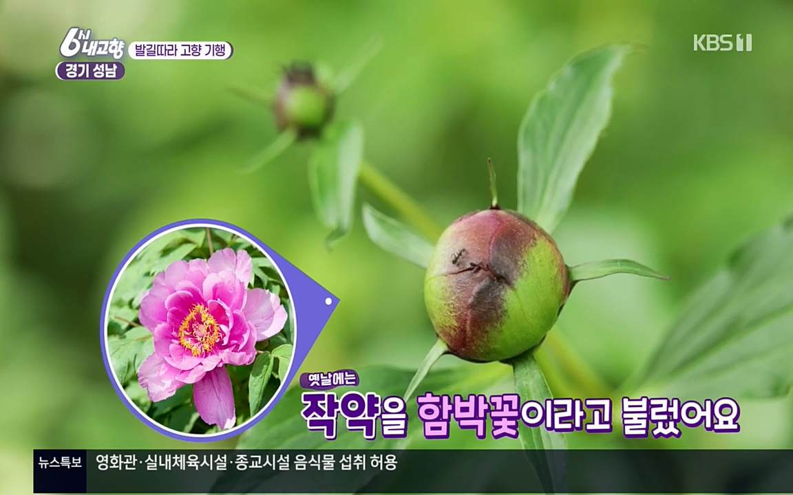 6시 내고향.E7530.220512p.H264-F1RST.mp4_20220516_190854.139.jpg