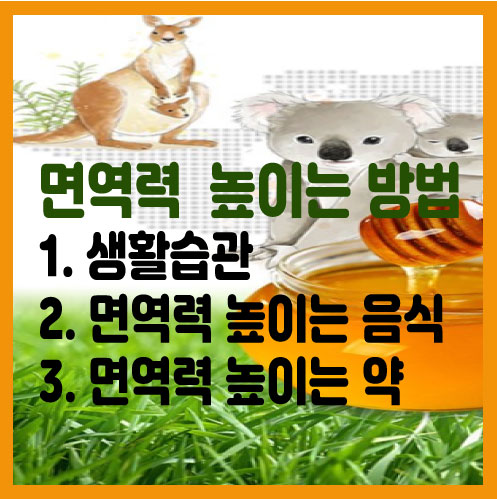  면역력높이는방법