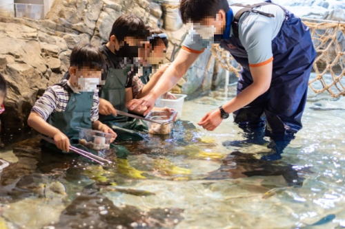 경기도 가볼만한 곳 수원 광교 아쿠아플라넷 먹이주기 체험