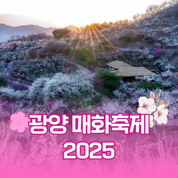 광양 매화축제 2025