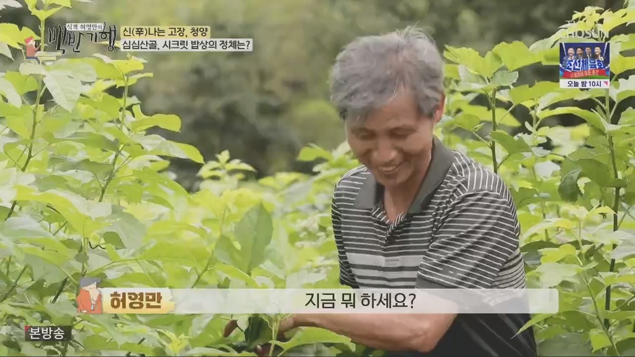식객 허영만의 백반기행.E213.230826p.H264-F1RST.mp4_20230826_180849.915.jpg