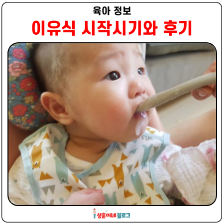  이유식 시작시기와  후기