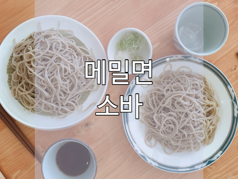  메밀면 레시피 메밀국수 만들기!