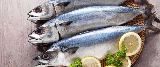 콜레스테롤 낮추는 음식 - 등푸른 생선