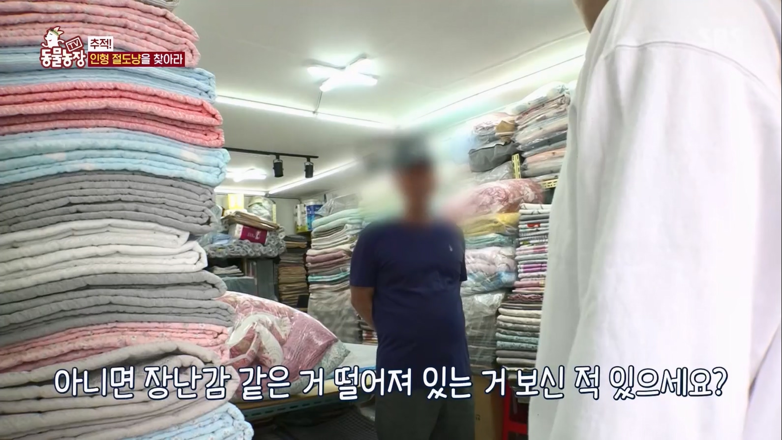 TV 동물농장.E1127.230702p.H264-F1RST.mp4_20230704_212704.193.jpg