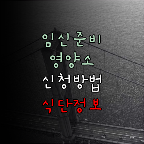 영양플러스 서비스로 건강한 임신을 준