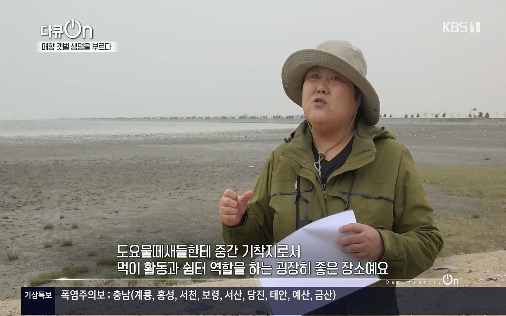 다큐 On.E151.220805p.H264-F1RST.mp4_20220806_193400.797.jpg