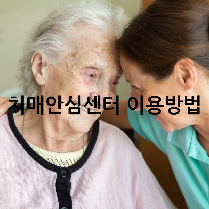 치매안심센터의 제공 서비스 및 지원 물품