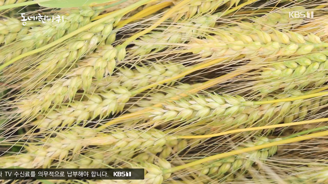 동네 한 바퀴.E279.240623p-NEXT.mp4_20240623_170451.396.jpg