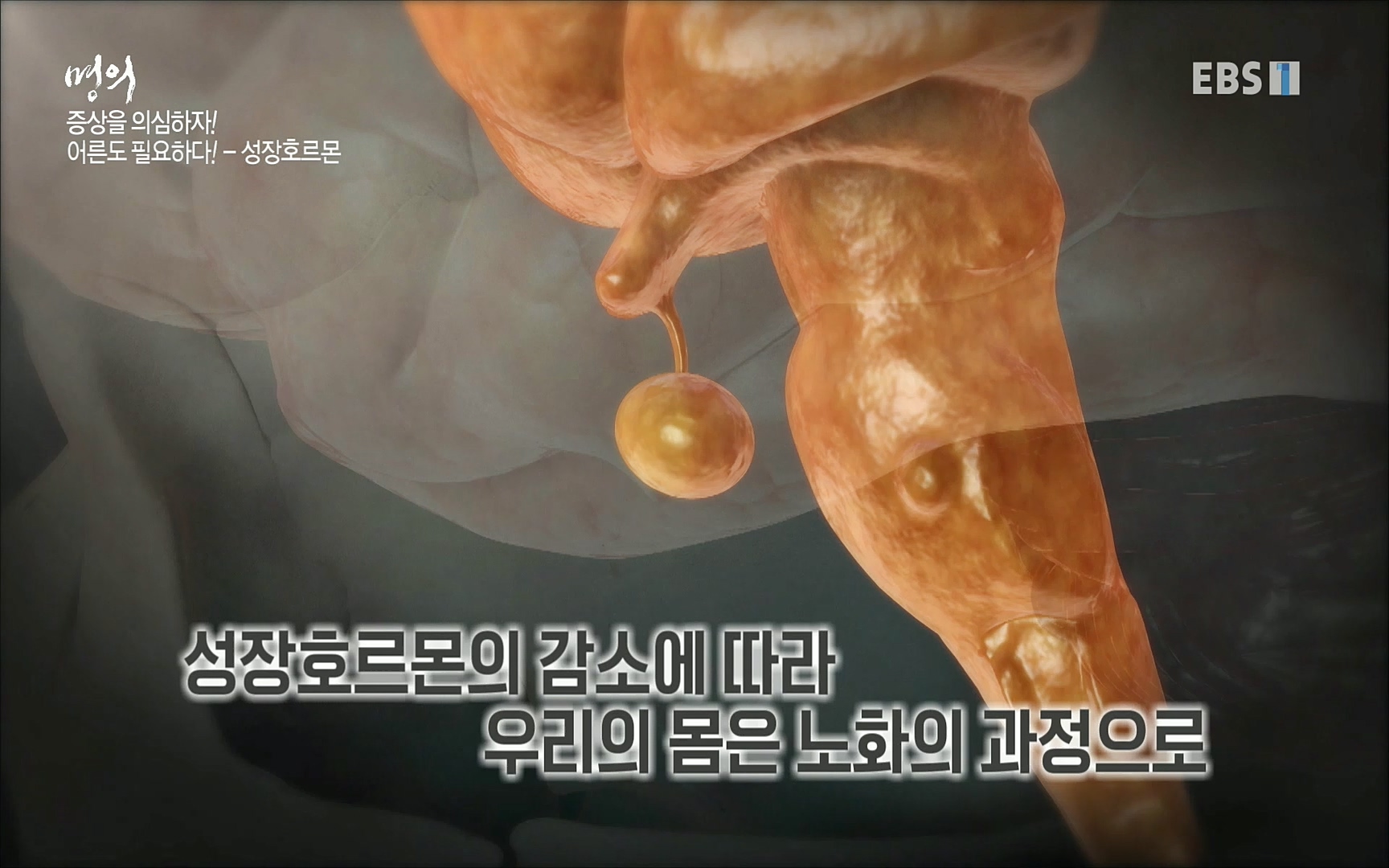 EBS 명의 헬스케어 - TV - 교육의 중심 EBS내 몸을 지배하는 7가지 호르몬 2부, 증상을 의심하자!.mp4_20220711_200202.695.jpg