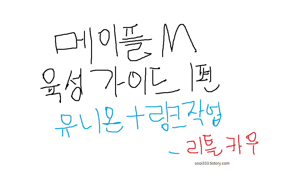  메이플m 육성가이드 1편 유니온 , 링크작업(메소버는기회)