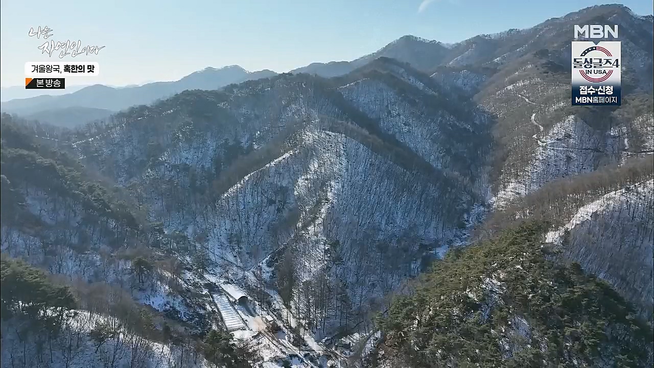 나는 자연인이다.E536.230112p.H264-F1RST.mp4_20230112_193510.321.jpg