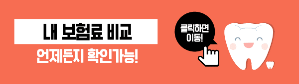 20대 치아보험 20대치과보험 및 처브 치아보험 보장내용 4