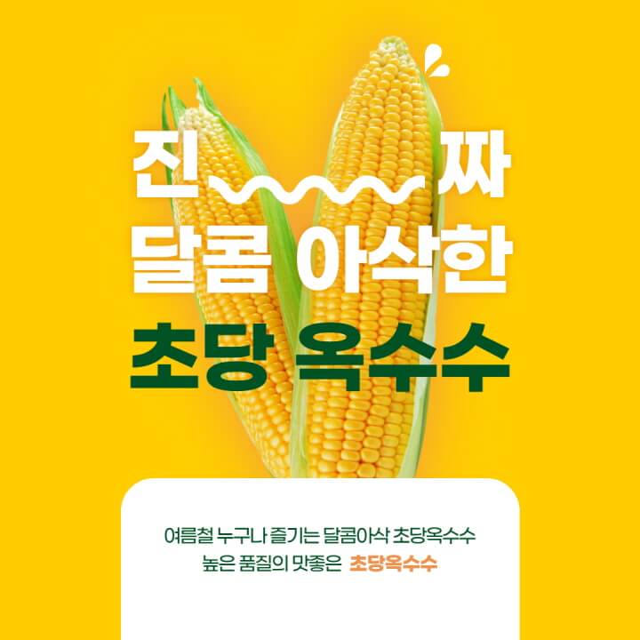 초당옥수수