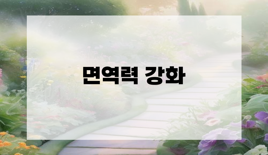1. 면역력 강화