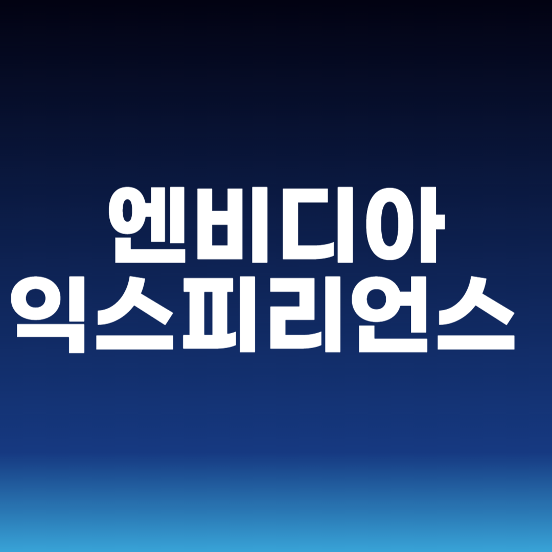 엔비디아 익스피리언스