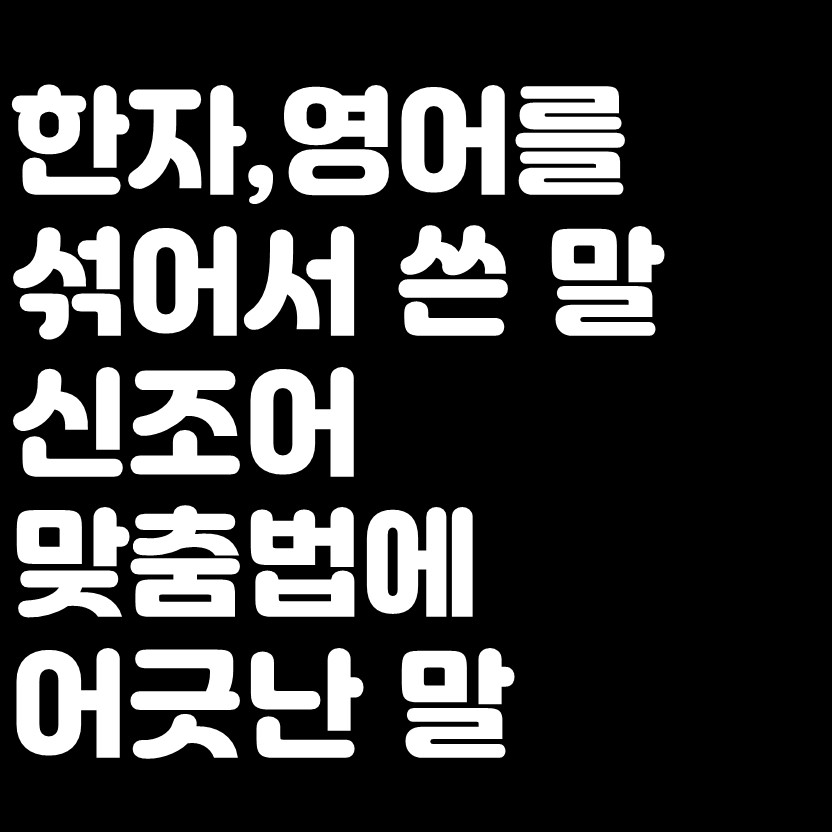  한자,영어를 섞어서 쓴말,신조어,맞춤법에 어긋난 말