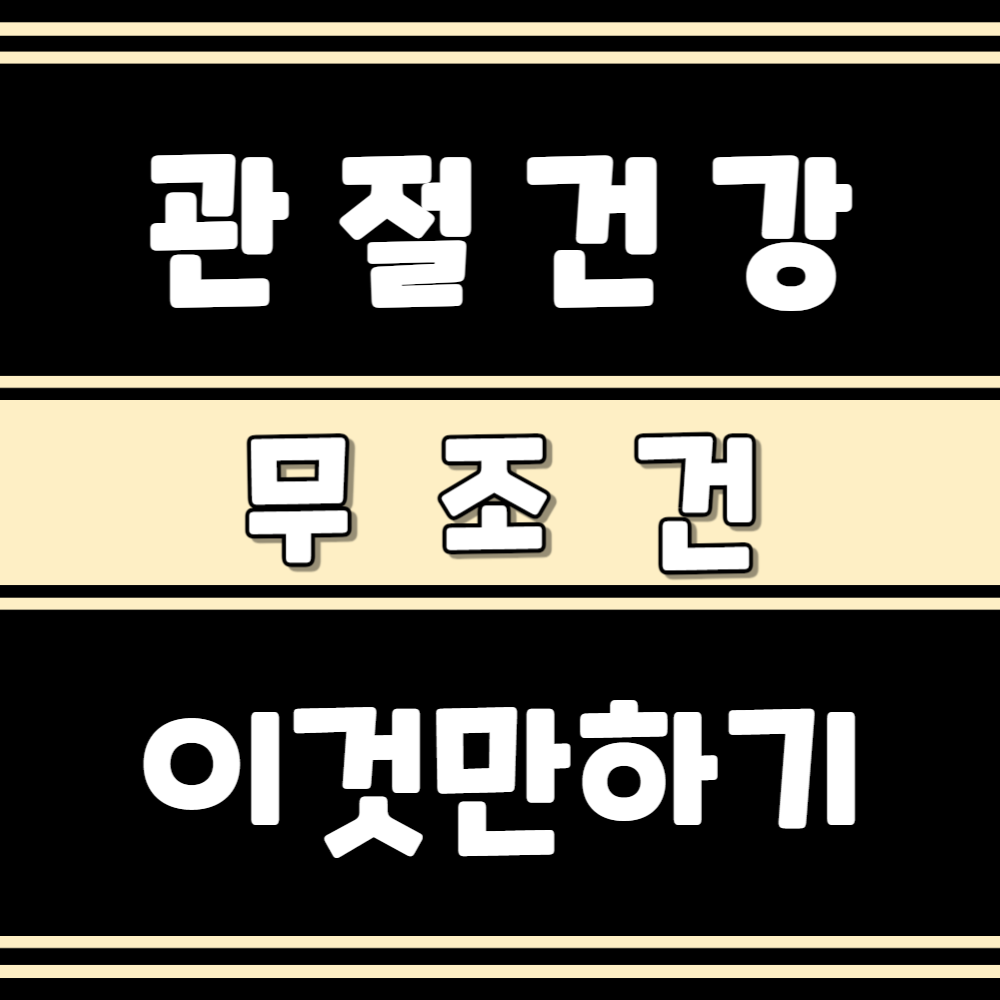 관절 건강을 위한 종합 가이드